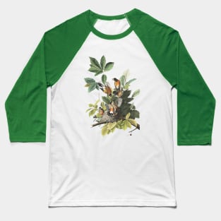 Audubon American Robin Baseball T-Shirt